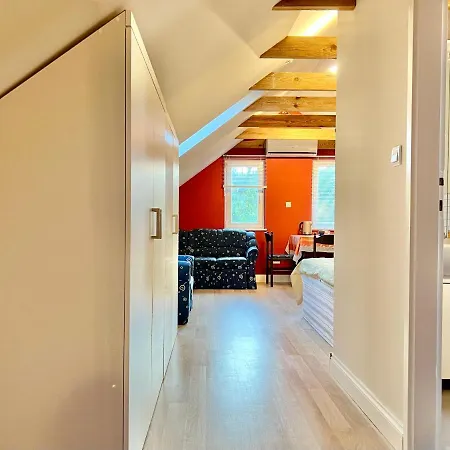 White House زلاكاروس