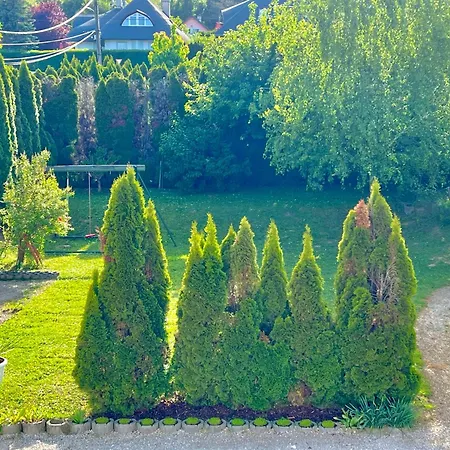 White House بيت ضيافة 3*