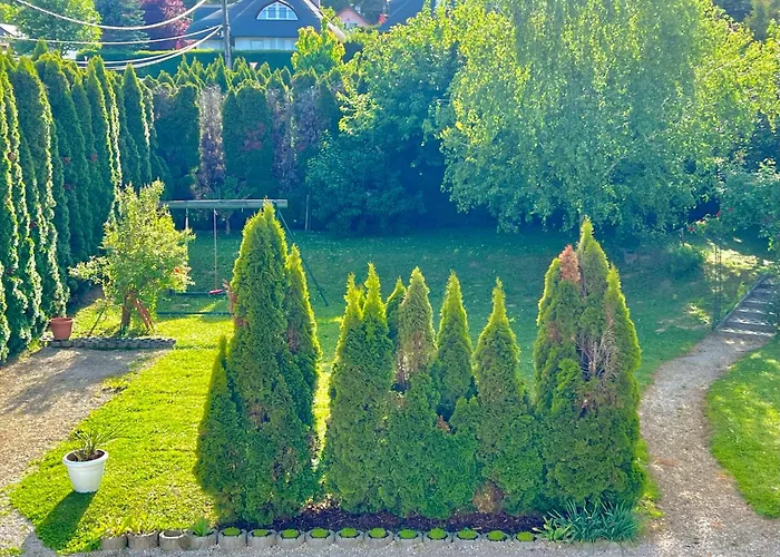 White House Affittacamere 3*